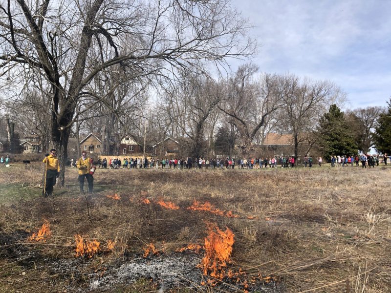 Students watching prairie burn