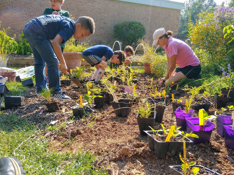 Students planting schoolyard
