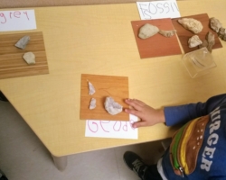 ...brought to you by the Eagle Room!