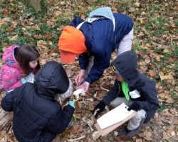 Marty Schaeffer investigates a deer skull with students from The Soulard School.