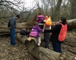 Phyllis Noelken spots some Tiny Tots from Sacred Heart Villa as they climb the downed cottonwood.