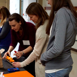 STEAM practices are modeled during the Novel Engineering session.