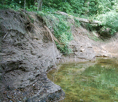 Erosion along creek