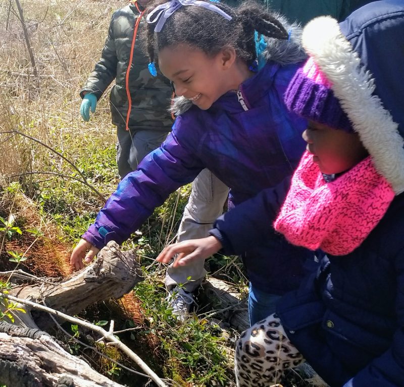 What is the Teacher’s Role in the Outdoor Classroom? – Litzsinger Road ...