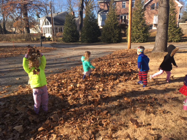 Students in schoolyard exploring fallen leaves