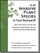 Invasive booklet