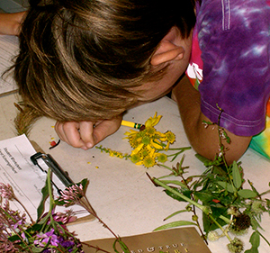 Student studies a prairie flower